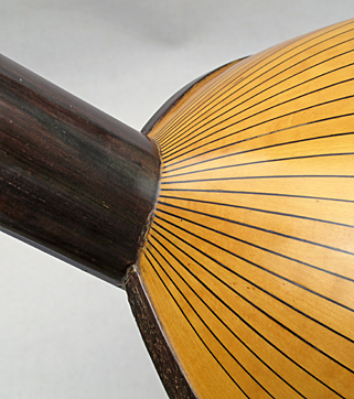 Liuto cantabile Detail